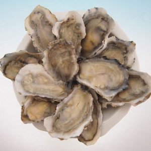 1/2 Shell Oyster