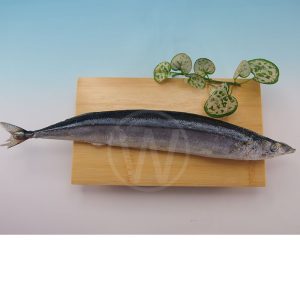Sanma Fish (Pacific Saury Fish)