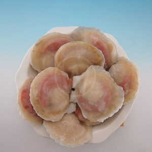 1/2 Shell Scallop